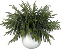 16Pcs 18Lifelike Touch Artificial Norfolk Pine Branches for Vase Christmas | Faux Christmas Norfolk Pine Stems,Fake Greenery Cedar Pine Picks,for Table DIY Garland Wreath Indoor Home Xmas Holiday Decor